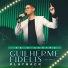 Guilherme Fidelis