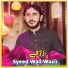Syeed Wali Wazeer