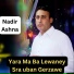 Nadir Ashna