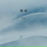 皮哥
