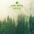 Audio Infinity