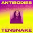 Tensnake feat. Cara Melin