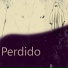 FSFDASF