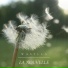 Wasylla