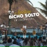 Banda Bicho Solto
