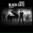 Black Cats