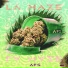 AFS