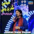 Ghulam Shabir Shahani