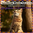 Relax My Cat, Cat Music Zone