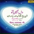 Farid Ayaz Qawwal, Biradran