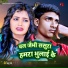 Lalu Raj