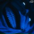Phantxm