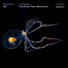 Ultraphonic