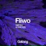 Fliwo