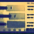 Genotype