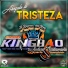 GRUPO KINGBAO DE ANDRES BUSTAMANTE