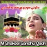 M Shakeel Sandhu Qadri
