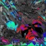 Wallace Ayers