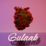 Gyanshu