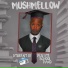 MushMellow feat. Long9ite