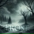 Dragon's Frost