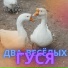 Под настроение