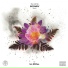 Ian McKee feat. Rexx Life Raj
