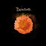 Bonsur