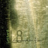 Letter 8
