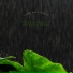Nature Noise Monsoon Rains