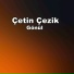 Çetin Çezik