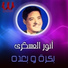 Anwar El Askary