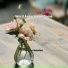 Serene Songs