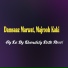 Damsaaz Marwat, Majrooh Kaki