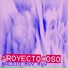 Proyectocoso