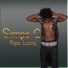 Simpo G