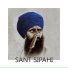 Bhai Mehal Singh Ji