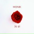 MONIK