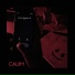 Cauim feat. priv4te