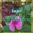 lapi