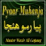 Master Wazir Ali Gopang