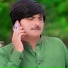 Gull Mashom