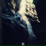 Senn