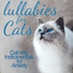 RelaxMyCat, Cat Music Dreams