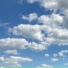 САММЕР КОМА