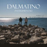 Dalmatino