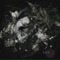 Mesck
