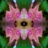 Potpourri