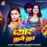 Pradeep Pyare, Srishti Bharti