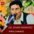 Tariq Chandio